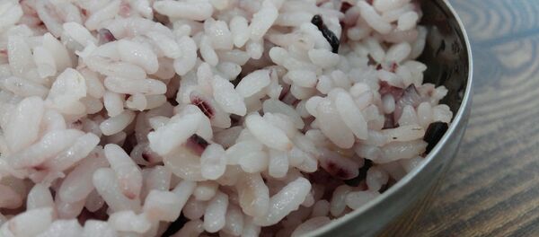 riz - Sputnik Afrique