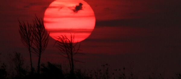 Red sun - Sputnik Afrique