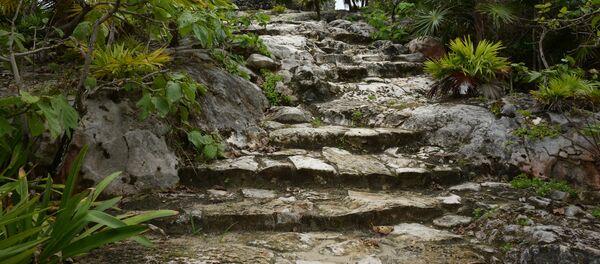 Des ruines mayas (image d'illustration) Des ruines mayas (image d'illustration) - Sputnik Afrique