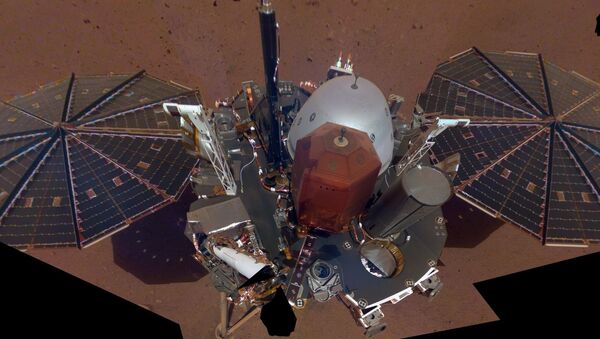 NASA's InSight Takes Its First Selfie - Sputnik Afrique