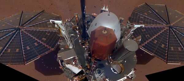 NASA's InSight Takes Its First Selfie NASA's InSight Takes Its First Selfie - Sputnik Afrique