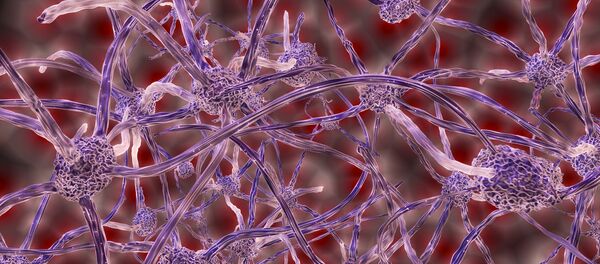 Nerfs - Sputnik Afrique