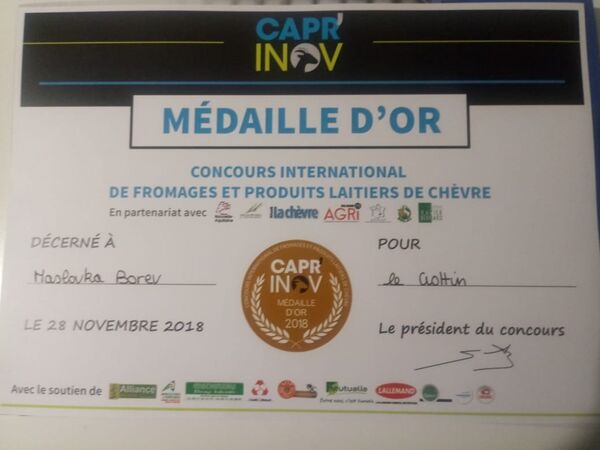 Le concours international de fromages et de produits laitiers de chèvre à Niort Le concours international de fromages et de produits laitiers de chèvre à Niort - Sputnik Afrique
