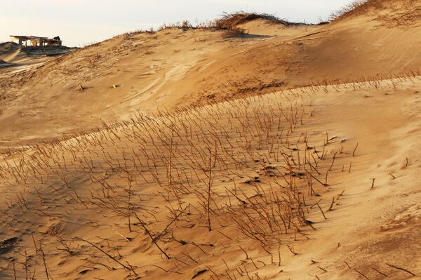 Paysages désertiques extraordinaires de l’île de Kounachir - Sputnik Afrique