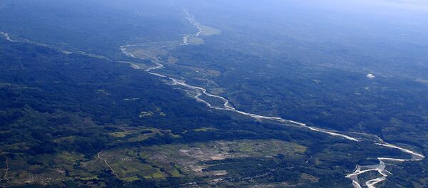 Sumatra - Sputnik Afrique