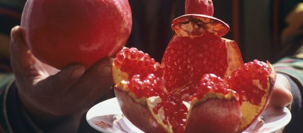 Grenade - Sputnik Afrique