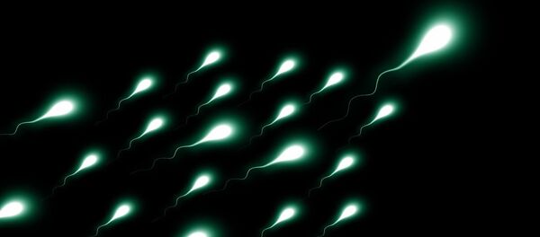 Sperme - Sputnik Afrique