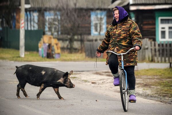 Cette année sera particulièrement propice à ceux qui sont nés pendant l’année du Cochon. Sur la photo: le village de Tonej, en Biélorussie - Sputnik Afrique