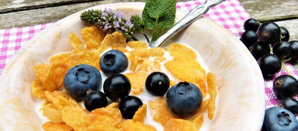 petit-déjeuner - Sputnik Afrique