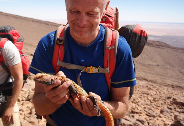 Denis Tribaudeau - Sputnik Afrique