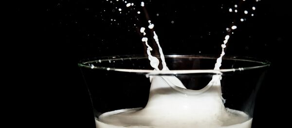 Un verre de lait Un verre de lait - Sputnik Afrique