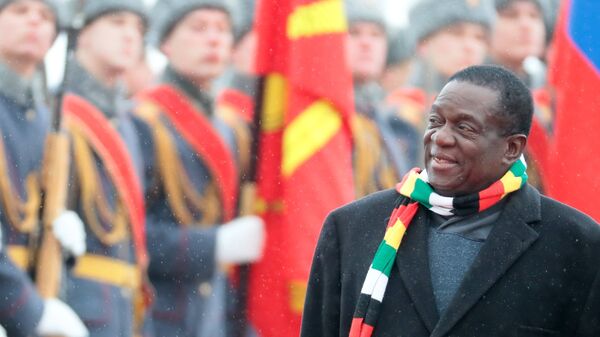 Zimbabwe's President Emerson Mnangagwa, who arrived in Moscow on an official visit, during a meeting at the airport in Moscow on January 14, 2019. - Sputnik Africa