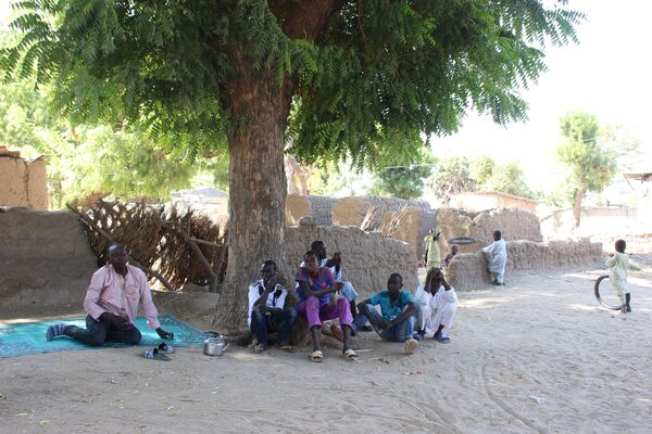 Des enfants sous un arbre à Limani, Cameroun Des enfants sous un arbre à Limani, Cameroun - Sputnik Afrique