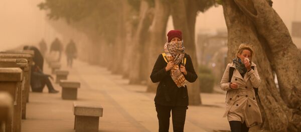 Le khamsin bat son plein: une tempête de sable en Égypte - Sputnik Afrique