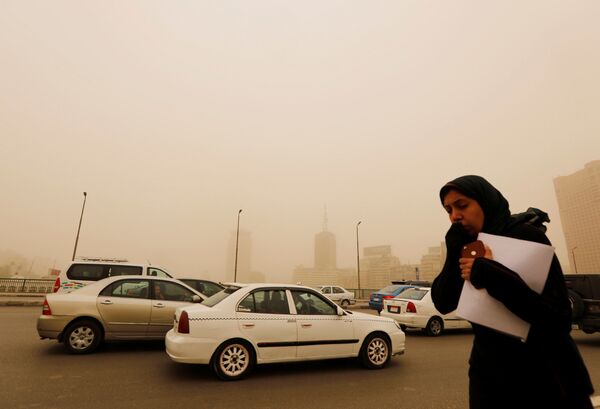 Le khamsin bat son plein: une tempête de sable en Égypte - Sputnik Afrique