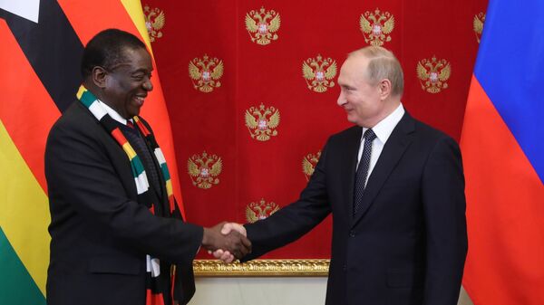 Vladimir Poutine et son homologue zimbabwéen, Emmerson Mnangagwa, en 2019 - Sputnik Afrique