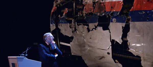 crash du vol MH17 de la Malaysia Airlines crash du vol MH17 de la Malaysia Airlines - Sputnik Afrique