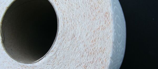 Un papier hygiénique - Sputnik Afrique