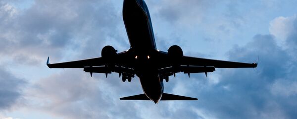 Un Boeing 737-800 - Sputnik Afrique
