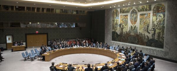 Conseil de sécurité de l'Onu - Sputnik Afrique