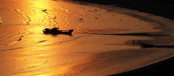 Закат на побережье Тихого океана острова Кунашир - Sputnik Afrique