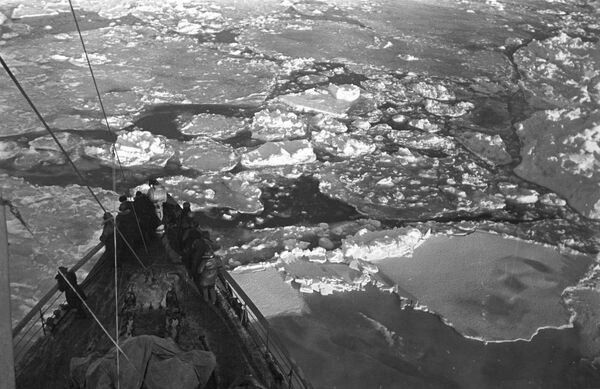 Le brise-glace Taïmyr en mer du Groenland Le brise-glace Taïmyr en mer du Groenland - Sputnik Afrique