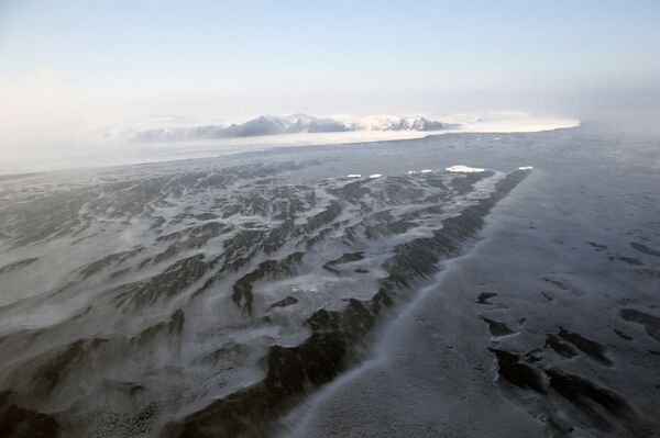 Île Wrangel en Arctique Île Wrangel en Arctique - Sputnik Afrique