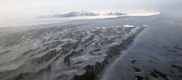 Île Wrangel en Arctique - Sputnik Afrique