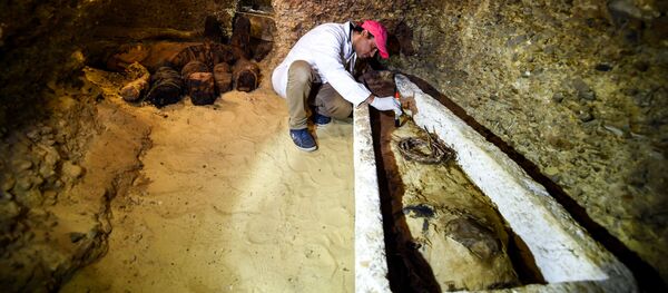 40 momies mises au jour dans une nécropole de l’Égypte ancienne 40 momies mises au jour dans une nécropole de l’Égypte ancienne - Sputnik Afrique