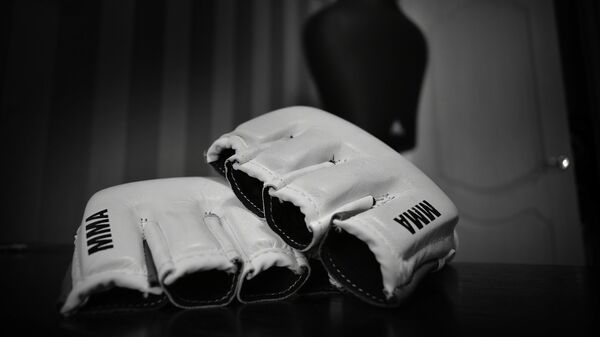 gants MMA (image d'illustration) - Sputnik Afrique