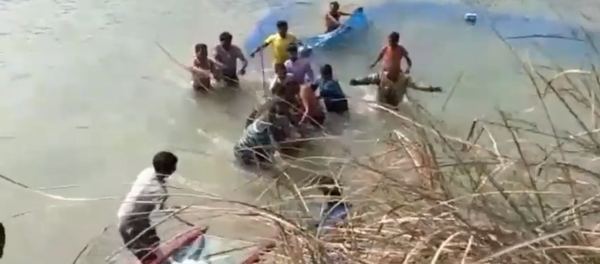 un dauphin piégé - Sputnik Afrique