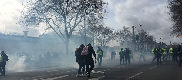 L'acte 13 des Gilets jaunes à Paris - Sputnik Afrique