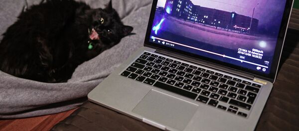 Un ordinateur - Sputnik Afrique