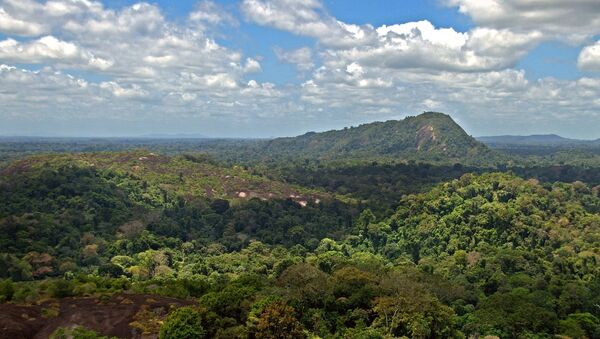 Amazon jungle from above. - Sputnik Afrique