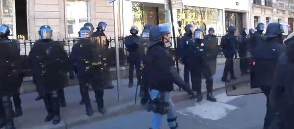 Les Gilets jaunes descendent de nouveau dans la rue (17 février 2019) - Sputnik Afrique