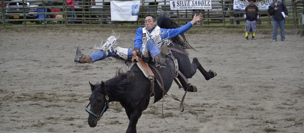 Rodéo (Image d'illustration) - Sputnik Afrique