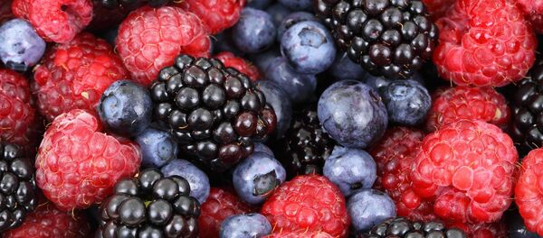 Les baies - Sputnik Afrique