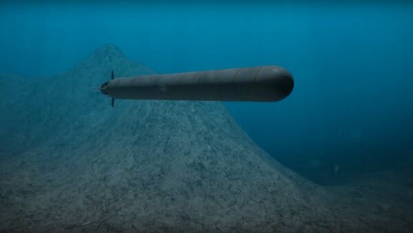 Oceanic multipurpose system equipped with unmanned underwater vehicles - Sputnik Afrique