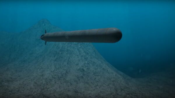 le drone Poséidon - Sputnik Afrique