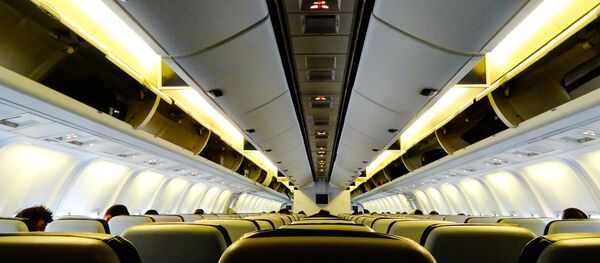 La cabine d'un avion - Sputnik Afrique