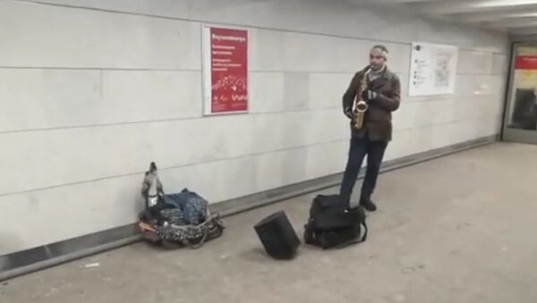 Le duo d'un chien et d'un saxophoniste dans le métro de Moscou - Sputnik Afrique