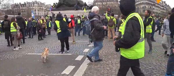 Acte 16 des Gilets jaunes - Sputnik Afrique