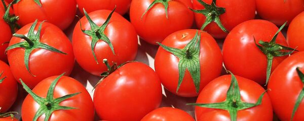 Tomates - Sputnik Afrique