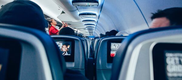 салон самолёта - Sputnik Afrique