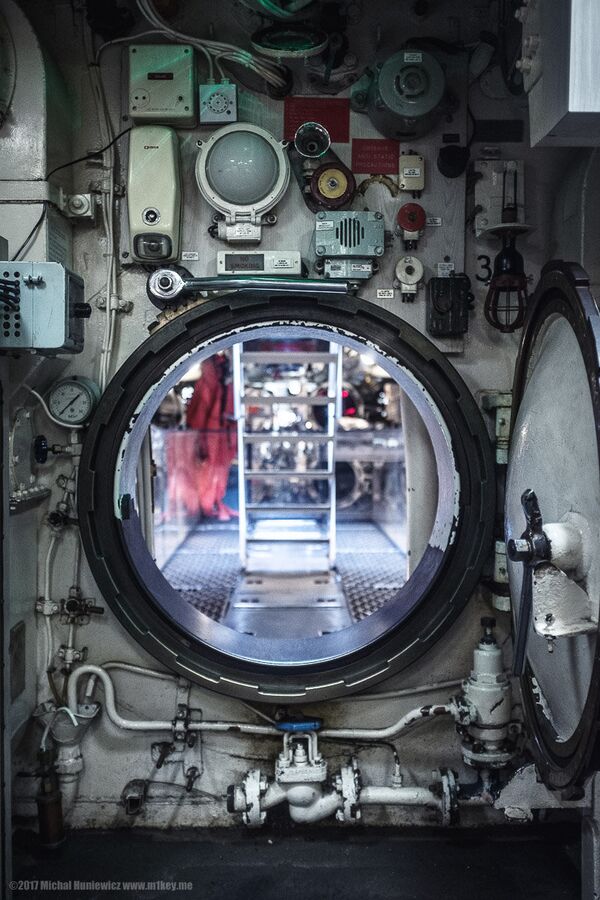 Une trappe - Sputnik Afrique