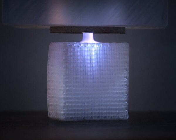 Quand des os sortent d’une imprimante Quand des os sortent d’une imprimante - Sputnik Afrique