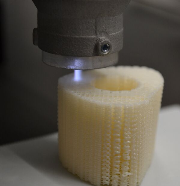 Quand des os sortent de l'imprimante Quand des os sortent de l'imprimante - Sputnik Afrique