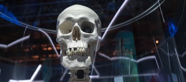 Une exposition scientifique à Moscou (image d'archive) - Sputnik Afrique