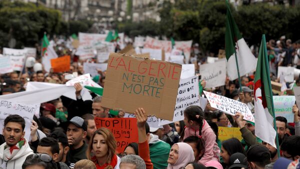 des manifestations en Algérie - Sputnik Afrique