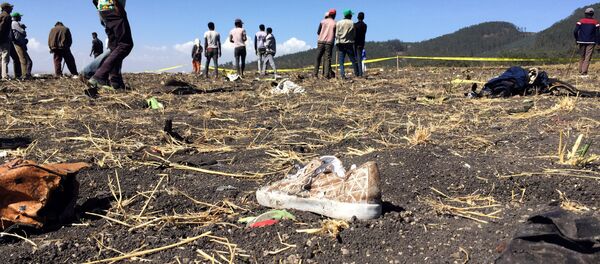 le lieu de crash de l'avion de l'Ethiopian Airlines - Sputnik Afrique
